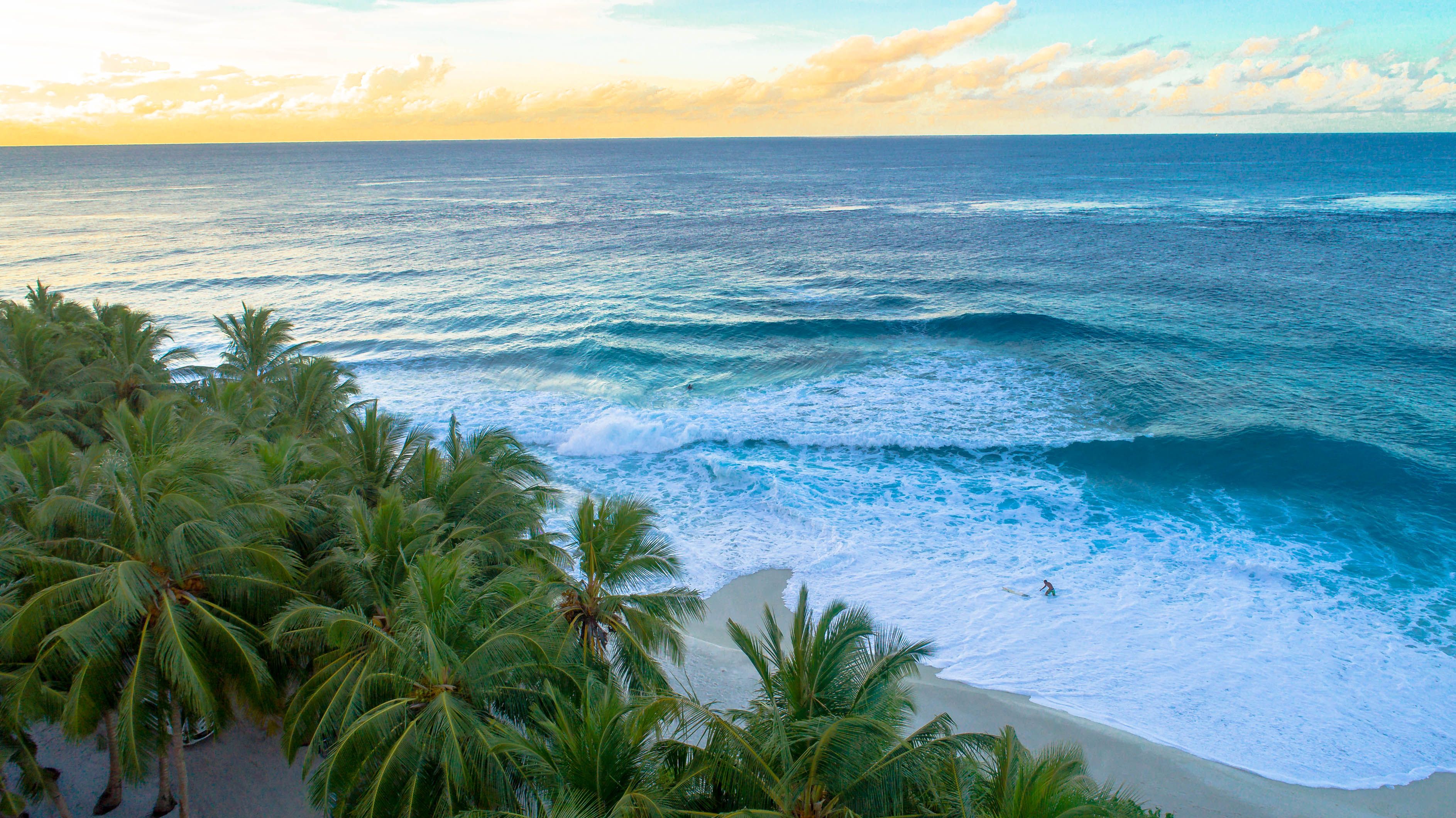Blue ocean and palm-lined shore in the Maldives