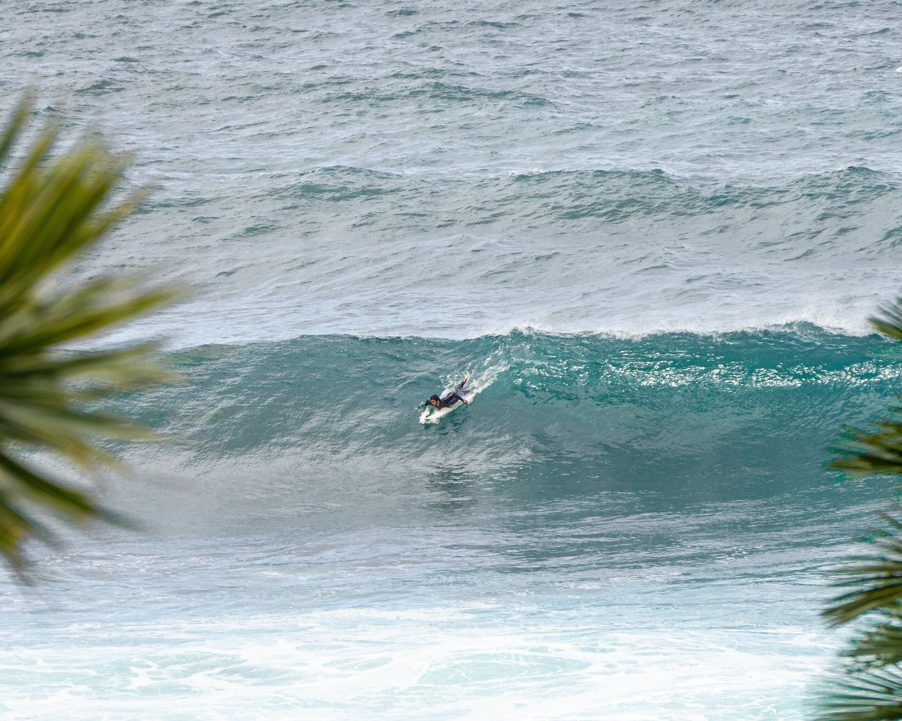 A wave rolling toward Mexico’s Pacific coast